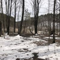 Lady of the Lake ico