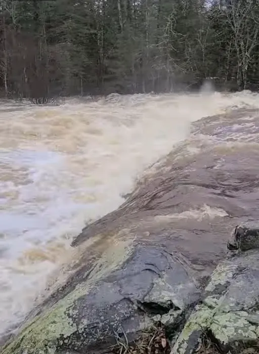 Poplar Cottage Picture 7