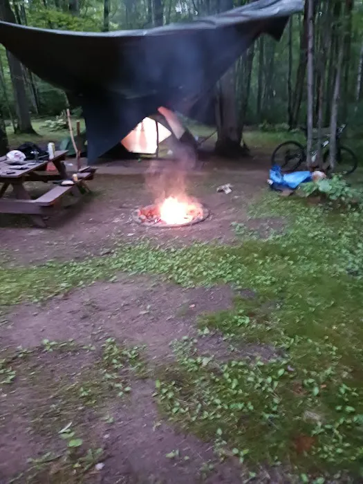 Terrace View Campsites Picture 8