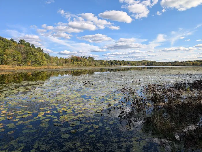 Spirit Lake Campground Picture 1
