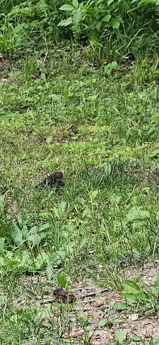 Lake view Park and Campground Picture 1