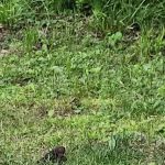 Lake view Park and Campground