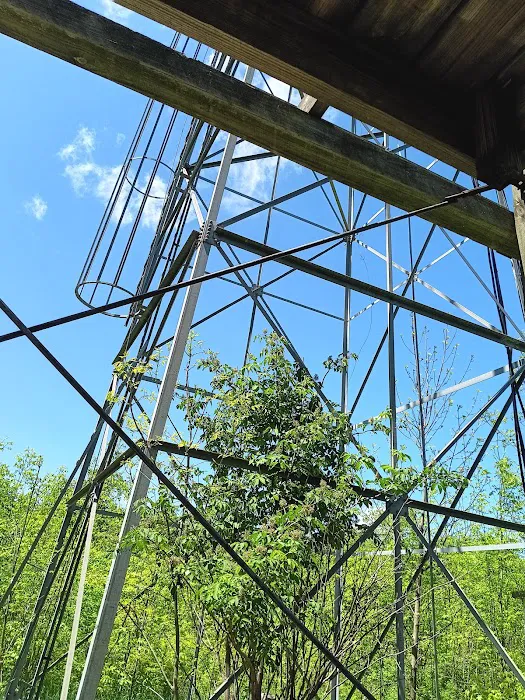 Lake view Park and Campground Picture 6