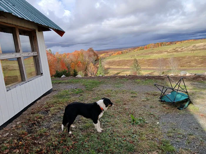 The Prayer Cabin Picture 7