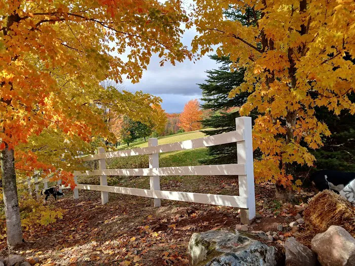 The Prayer Cabin Picture 1
