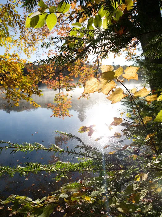 West Point Campground Picture 4