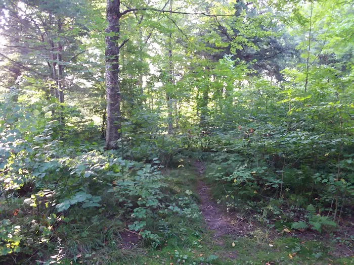 West Point Campground Picture 10