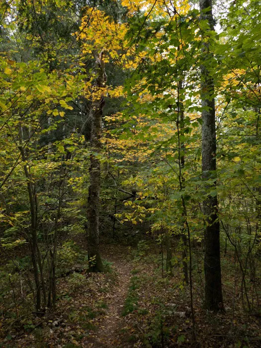 West Point Campground Picture 5