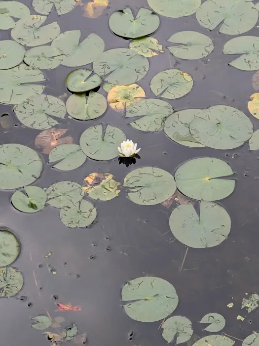 Spearhead Point Campground Picture 5