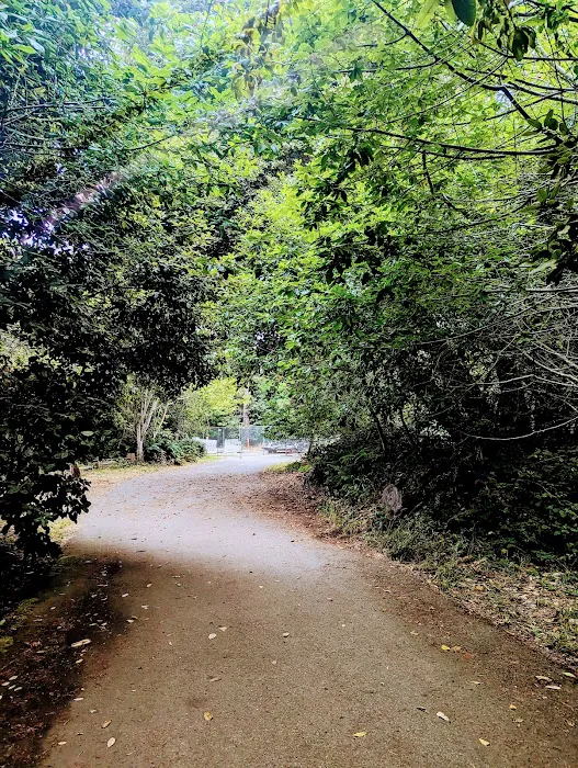 Eastwood Campground Picture 10