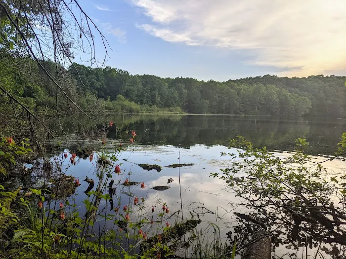 Eastwood Campground Picture 7