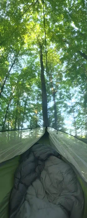 Eastwood Campground Picture 6