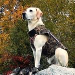 West Bay Camping Resort