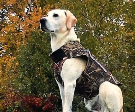 West Bay Camping Resort