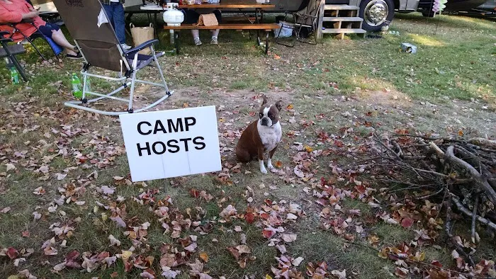 Moen Lake Campground & RV Park Picture 2