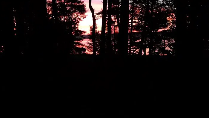 Moen Lake Campground & RV Park Picture 3