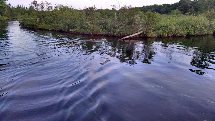 Moen Lake Campground & RV Park Picture 7