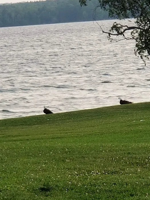 Lake View Resort Picture 10