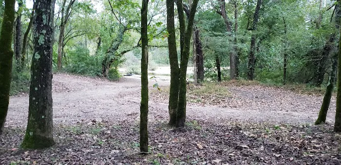 Bay Creek Campground Picture 3