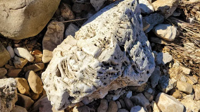 Bay Creek Campground Picture 4