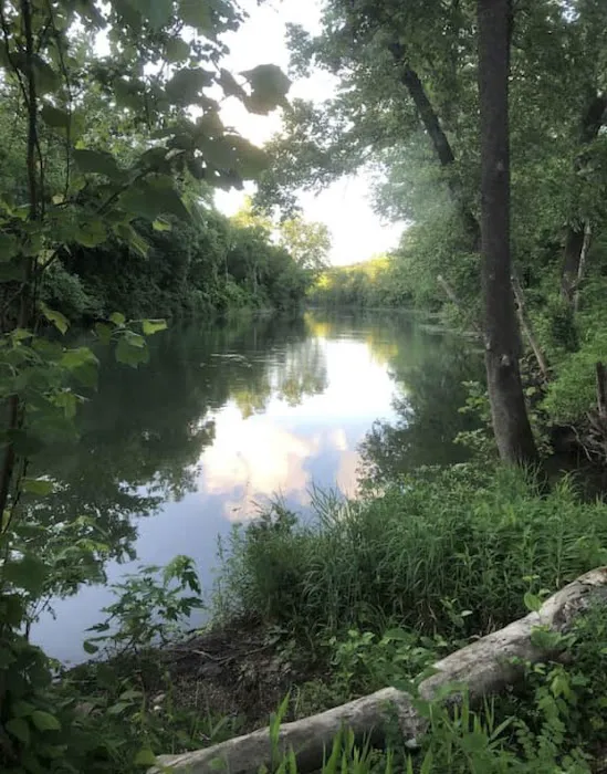 Jesse James River Resort Picture 3