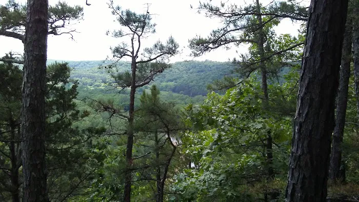 Cave Eddy Campground Picture 3