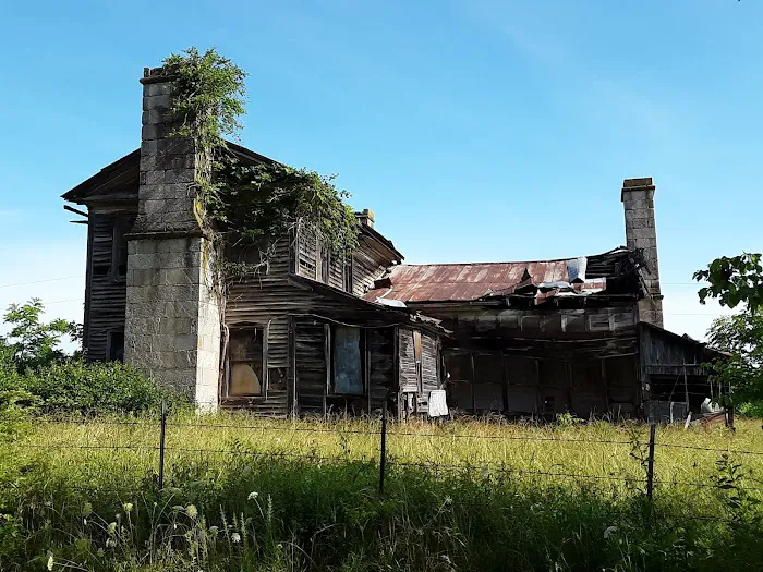 Paddy Creek Campground Picture 1