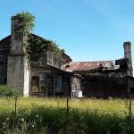 Paddy Creek Campground