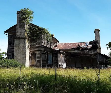 Paddy Creek Campground