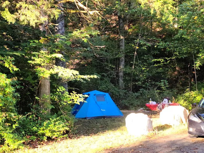 Paddy Creek Campground Picture 6