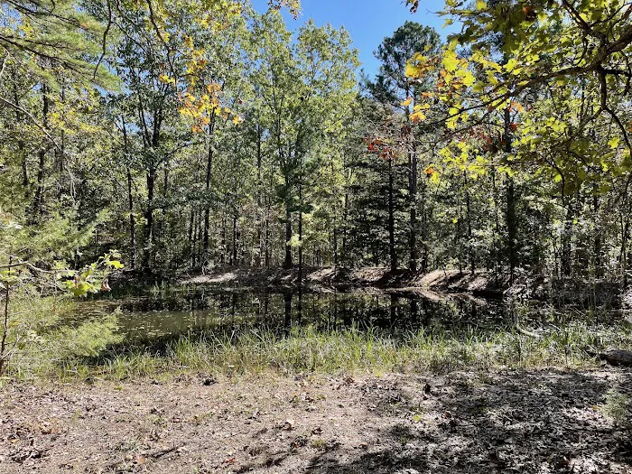 Paddy Creek Campground Picture 5