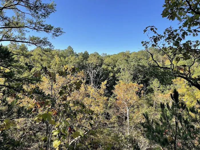 Paddy Creek Campground Picture 7