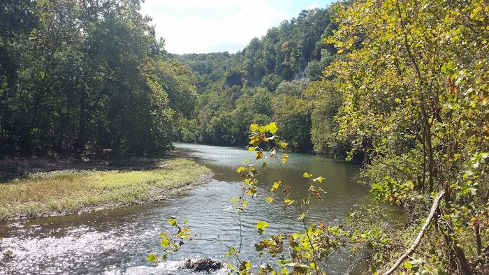 Paddy Creek Campground Picture 4