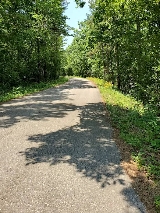 Paddy Creek Campground Picture 2