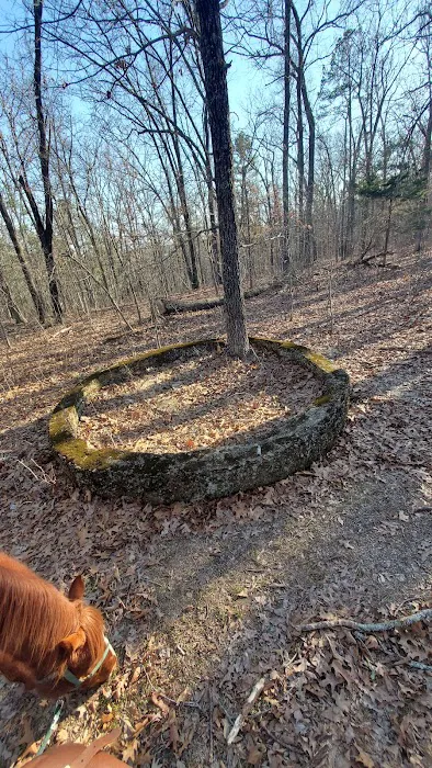 Paddy Creek Campground Picture 8