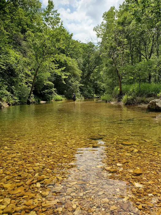 Paddy Creek Campground Picture 3