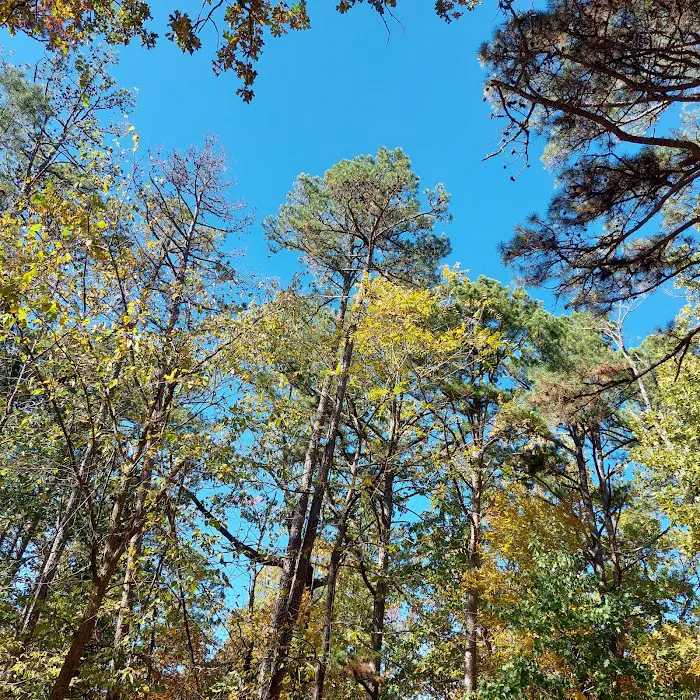 Big Piney Campground Picture 6