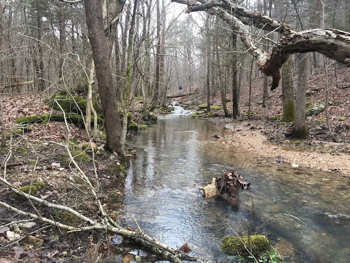 Big Piney Campground Picture 2