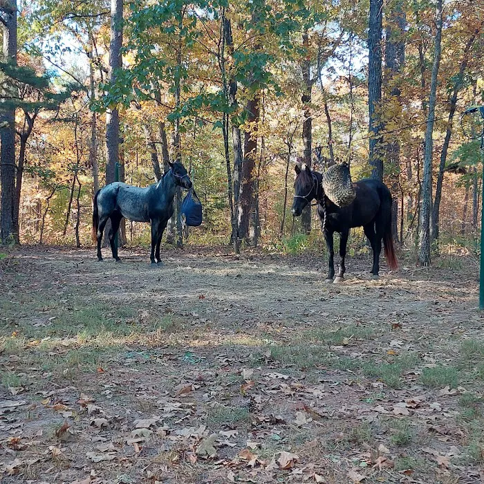 Big Piney Campground Picture 8