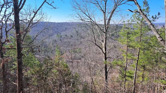 Big Piney Campground Picture 9