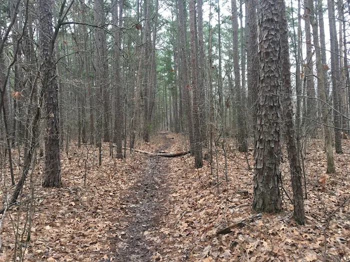 Big Piney Campground Picture 1