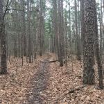 Big Piney Campground