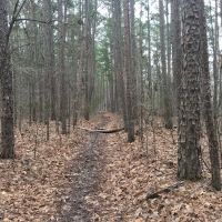 Big Piney Campground ico