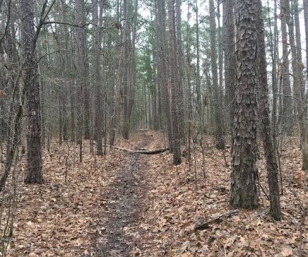 Big Piney Campground