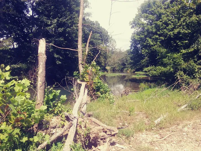 Warm Fork Conservation Area Picture 2