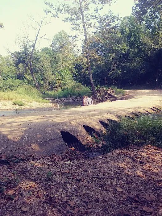 Warm Fork Conservation Area Picture 1