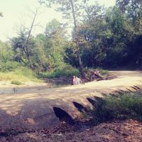 Warm Fork Conservation Area ico