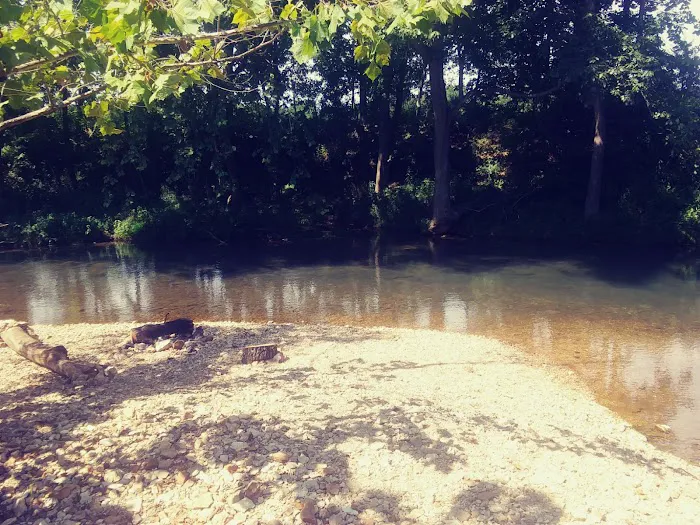 Warm Fork Conservation Area Picture 4