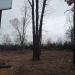 Highland eclipse camping