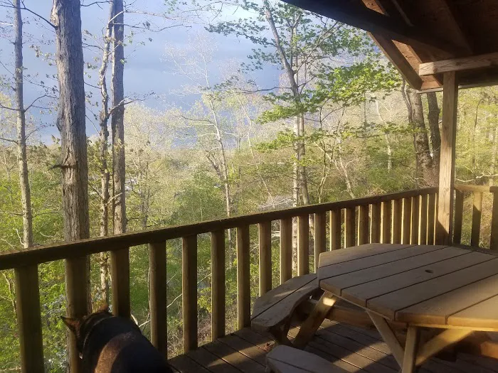 Jewells RV Park Picture 7